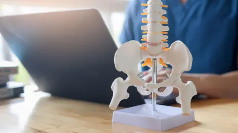 A generic picture showing the model of a skeleton (spine and hips) on a desk. Someone is working on a computer.