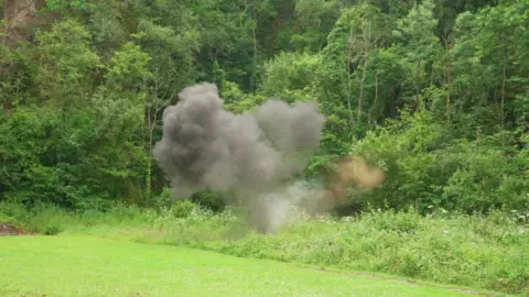 A picture of smoke caused by an explosion. The smoke is grey and is pictured next to the grass.