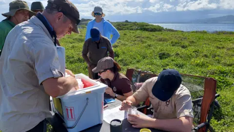 Durrell Wildlife Conservation Trust A crew of workers sat and stood around a table on a grassy patch of land showing the sea in the background.
