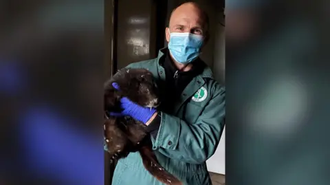 Nic is wearing a green jumpsuit and light blue mask. He is holding a brown beaver.