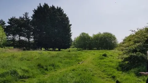 A grassy area, with several grassy banks and with trees and bushes interspersed throughout.