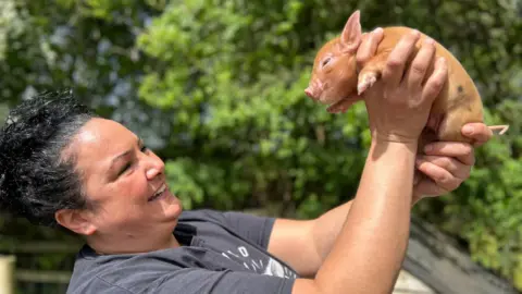 Animal News Agency  A woman holding a micro pig in the air wearing a grey top 