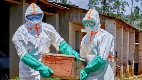 Two people in full PPE - white suits and green rubber gloves - carry a coffin. 