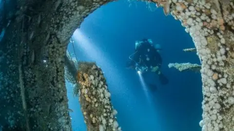 Diver and the wreck of the ship. Lots of barnacles on the shipwreck and a diver behind with a torch.