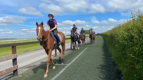 Four horses, one chestnut colour at the front, with a black horse behind and two brown horses behind that, all with four riders dressed in riding gear.