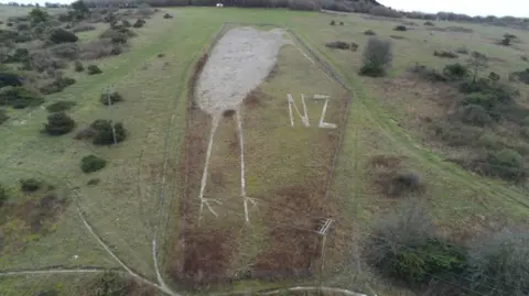 Crown A picture of a kiwi. It is faded and tired-looking 