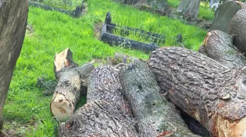 James A pile of logs on the ground next to some headstones