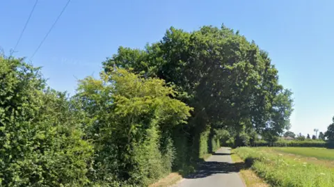 Google A general view of Abbey Lane near Leiston. It is a country lane with bushes and trees on the left hand side and a field to the right. It is pictured on a sunny, cloudless day.