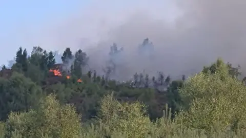 Video still of a fire on a tree covered hill 