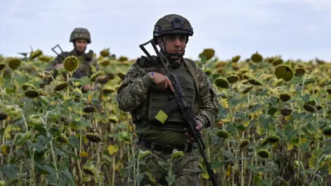 Reuters Ukrainian troops walk through sunflowers near Pokrovsk, August 2024