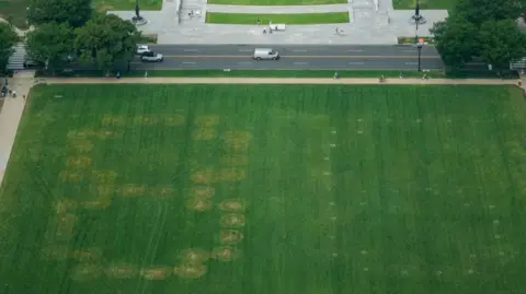 The numbers drawn in the grass
