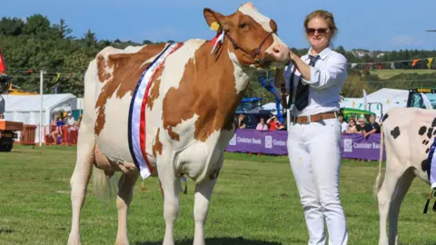 A brown and white cow with a ribbon over its back being led by the halter by Vicky Sloane-Masson, who is wearing white trousers and shirt with a light brown belt and dark tie. The show ring can be seen in the background.