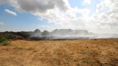 Simon Collyer Dry heathland is in the foreground and behind it smoke can be seen rising in front of trees and bushes.