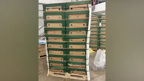 NCA Crates of bananas on the floorpiled up