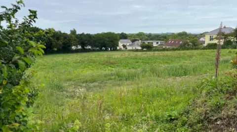 BBC A large field overgrown with houses and trees in the distance on a cloudy day