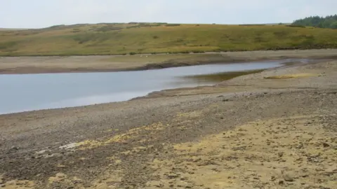 Tudur Davies Llyn Aled Isaf en Conwy. Las orillas del lago están secas, la orilla más cercana es arenosa con guijarros, la orilla a lo lejos es verde, con una colina que se eleva detrás.