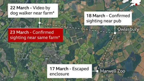 A map of Hampshire showing Marwell Zoo, where the capybara escaped, and the three locations where there have been confirmed sightings. 