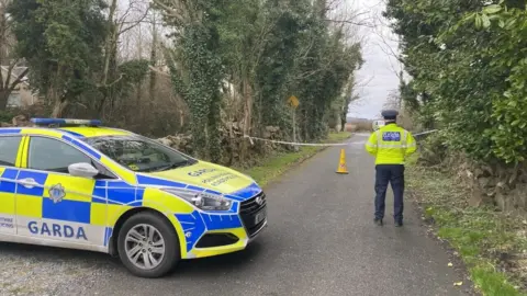 A police officer stands at a cordon at the scene of the crash at Menlo Pier near Galway city