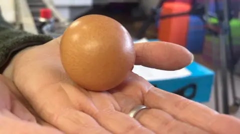The brown medium sized egg is pictured in Ms Greene's hands. 