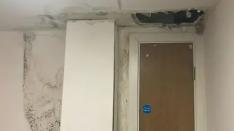 The picture shows a hallway in one of the blocks of flats. There was water damage and mold on one wall, and a missing ceiling joist that fell through the water damage.