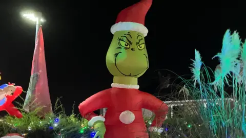 The top half of a giant inflatable grinch, as seen over a hedge. To its left hand side, a red flag flutters in the wind.