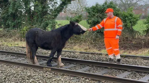 A black horse with a white face and two light brown legs. It is reaching its face out towards a man wearing bright orange work clothing. The man is holding out something for the horse to eat. The horse is standing on railway tracks and the man is standing off to the side of them, with bushes and branches behind him, and a green field beyond.