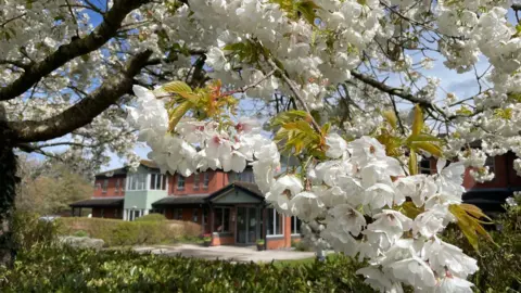 Prospect Hospice A branch of white blossoms on a sunny day in front of the Prospect Hospice building, which is two storeys and red brick with a pitched roof.