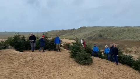 Beach Guardian Christmas trees on a beach