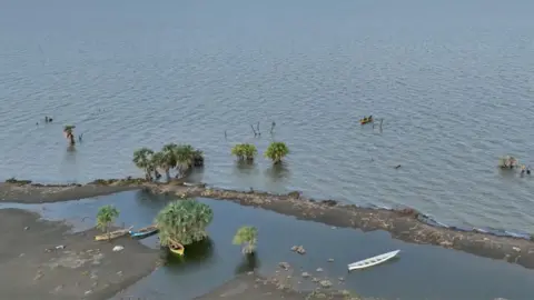 A drone shot of Lake Turkana showing some trees on the shoreline and a few boats