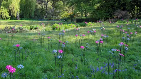 Hospice in the Weald An abundance of the handcrafted steel daisies in a green field, surrounded by trees. They range from pink and blue and are grouped together in a number of arrangements. 