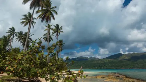 Palm trees line a beach with mountains in the distance