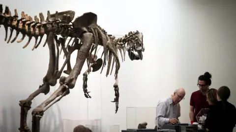 a dinosaur skeleton created from a cast towers over a group of people who are examining two dinosaur bone fossils. The fossils they are examining are small and displayed on plinths