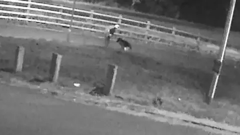 RSPCA man standing over a dog on street in black and white image from CCTV