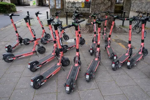 A large group of pink Voi e-scooters is parked on a pavement area beside a tree.