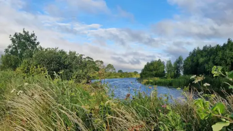 BBC Weather Watcher Appleford Ambler Lush riverside foliage on the riverbank at Abingdon, Oxfordshire