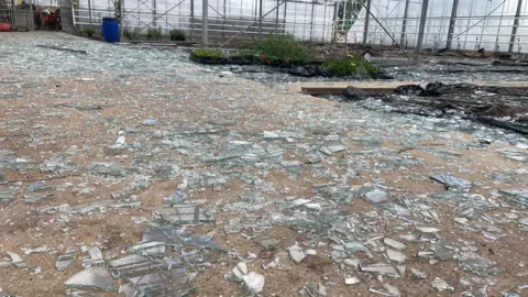 BBC Shattered glass on the floor of a glasshouse