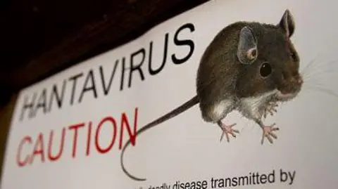 Getty Images A tanda dengan ilustrasi mouse berbunyi "HANTAVIRUS PERHATIAN"