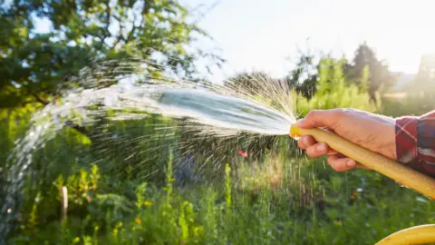 Getty Images A hand holding a hosepipe with water squirting from its end. There are green plants in the background.