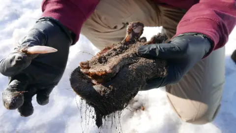 University of York A pair of gloved hands hold a tooth next to what appears to be a large clump of mud. The figure holding the items is crouched on what seems to be snow.