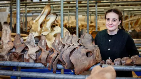 Trustees of Natural History Museum Sophie Nicolov, a woman with dark plaited hair, wearing a black cardigan, next to a row of whale bones, with more whale bones in the background, within a large room.