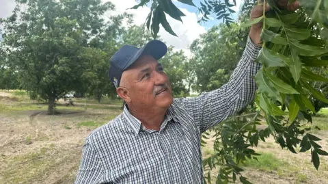 Jaime Ramirez touching one of his walnut trees