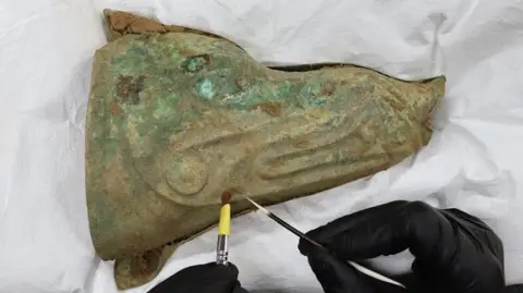 Norfolk Museums Service A boar's head standard on its side, with its nose facing to the right. Two black-clad hands can just be seen at the bottom holding a thicker brush on the left and a far finer bush in the right hand. 