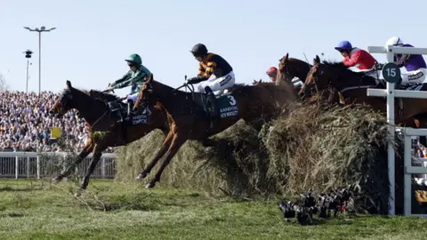PA Media Last year's winner Nick Rockett jumps one of Aintree's famous fences with another horse in front of packed spectators