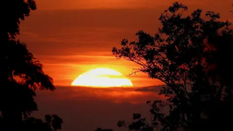 Andrea H A orange and red sunset in the centre of the image with the black silhouettes of trees either side of it. 