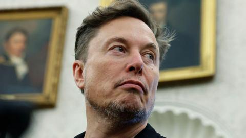 Who is Elon Musk and what is his net wor