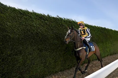 Getty Images A dark horse with the number 10 on its side with a jockey in yellow silks on board against a hedge with a blue sky above