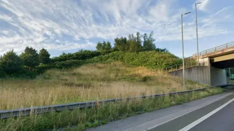 Google A bank of grass on the side of a dual carriageway. The bank is covered in green grass and bushes. There is a blue sky above the bank and an overlapping bridge running over the dual carriageway.