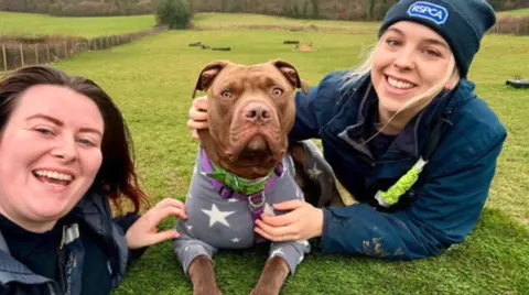 Two women are on grass with a dog. The woman on the left has dark hair and the dog is in the middle being held by the woman with blonde hair and wearing a blue RSPCA hat on the right. 