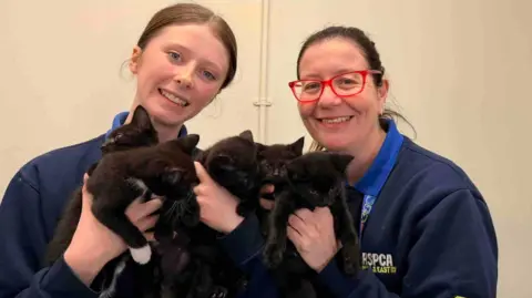 Two women are holding kittens. The woman on the left is holding three small black kittens, one has white paws and she is smiling at the camera. The woman next to her has glasses on with red frames. The two kittens she is holding are looking at the camera. 