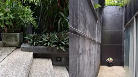 Stuart Raynor Side by side images showing plants and foliage at the edge of a staircase, and an alleyway with walls about 6 metres tall, with a bunch of flowers at the end.